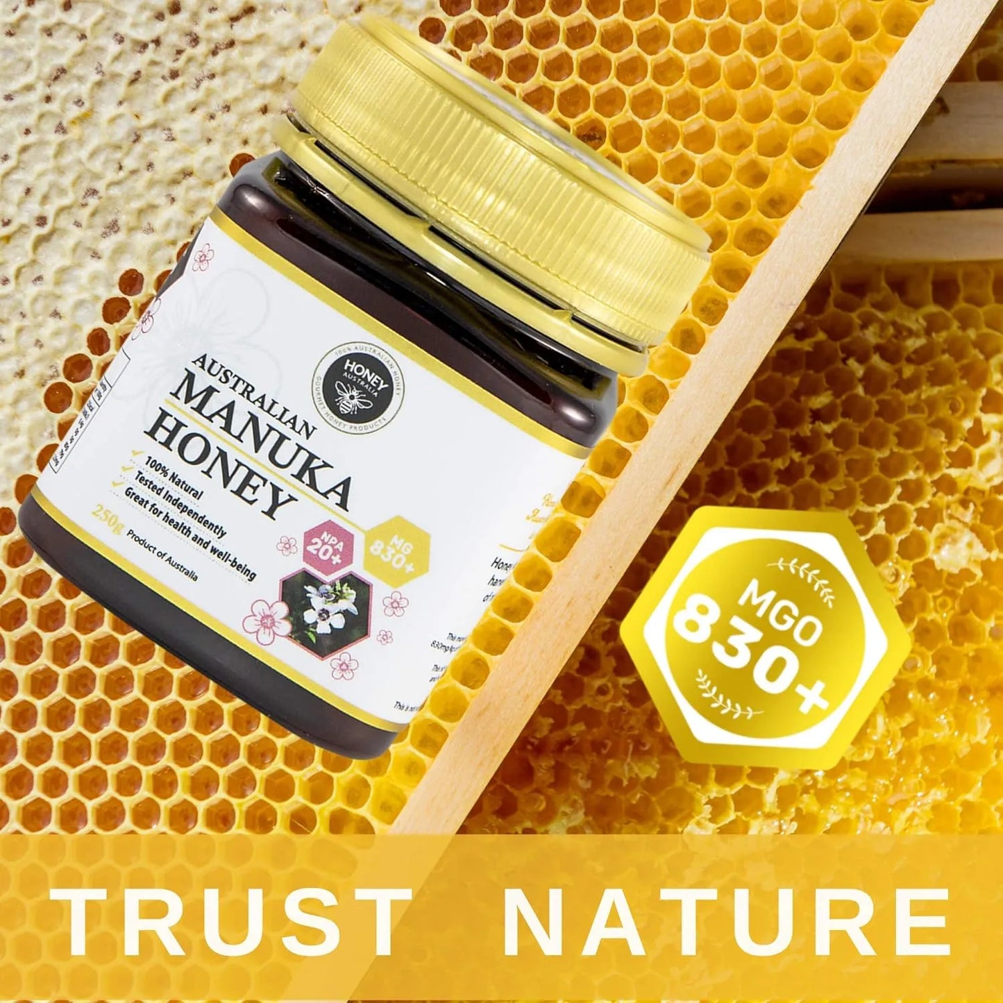 Miel De Manuka Pura Orgánica Cruda MGO 830+ Para Salud Digestiva Piel Y Energía
