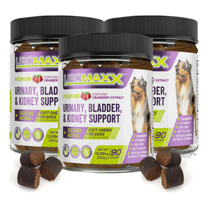 Tratamiento Natural Para Infecciones Urinarias En Perros Con Extracto De Arándano Y Vitamina C