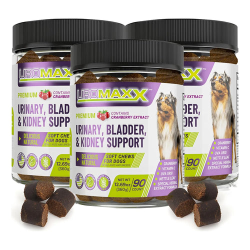 Tratamiento Natural Para Infecciones Urinarias En Perros Con Extracto De Arándano Y Vitamina C