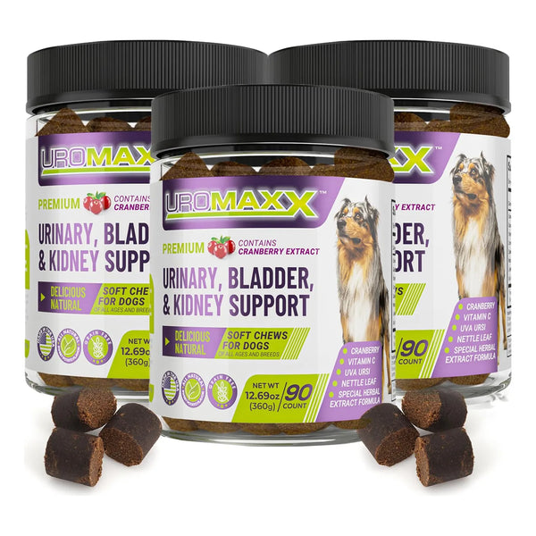 Tratamiento Natural Para Infecciones Urinarias En Perros Con Extracto De Arándano Y Vitamina C