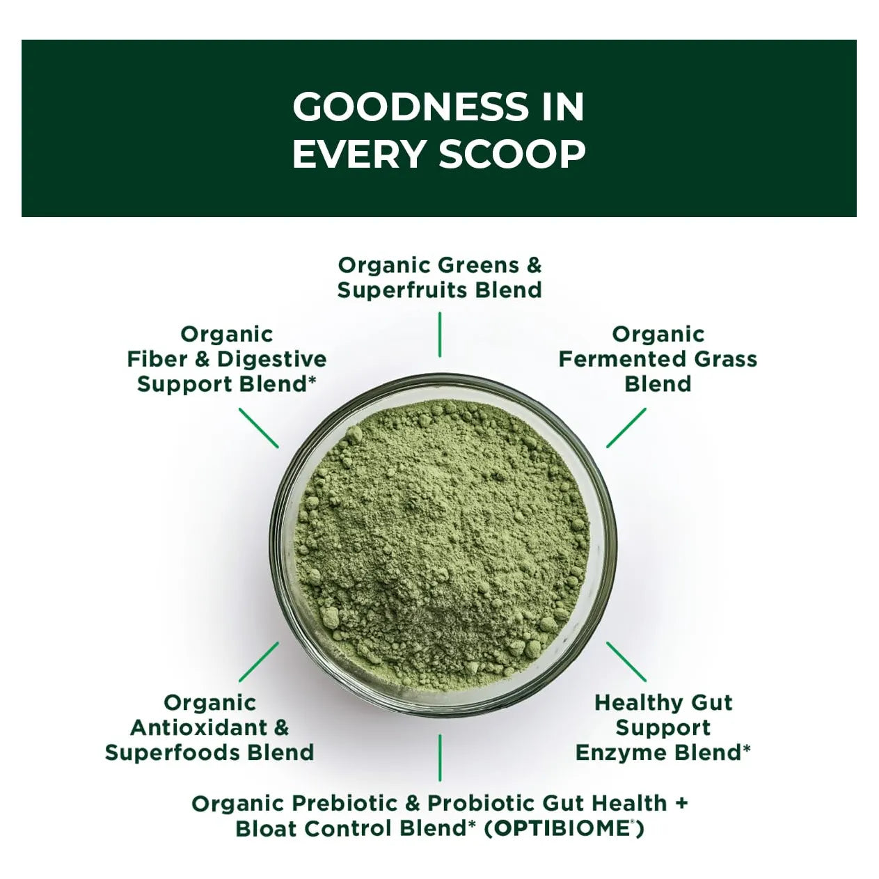Elite Greens Superalimento Orgánico Con Probiótico OptiBiome Energía Y Digestión