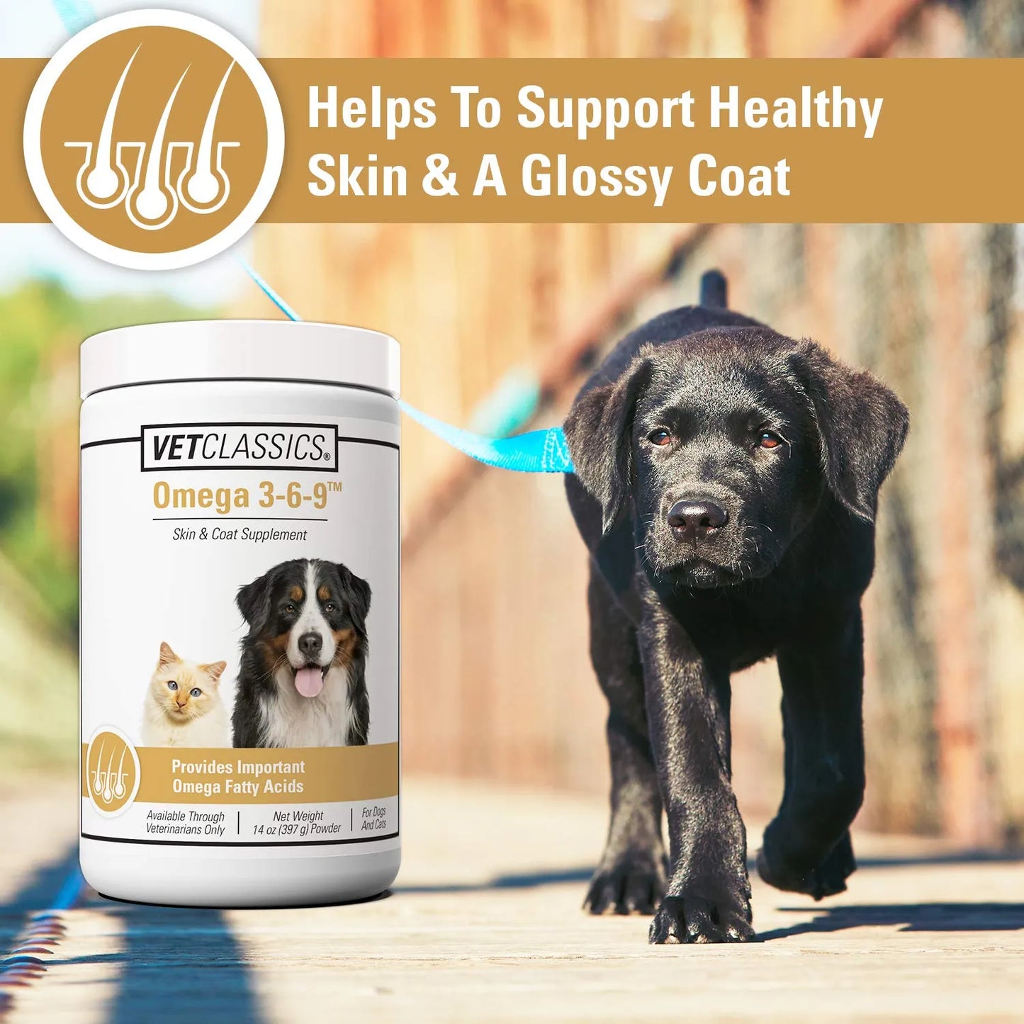 Suplemento Omega 3-6-9 Para Piel Y Pelaje De Gatos Importado Premium