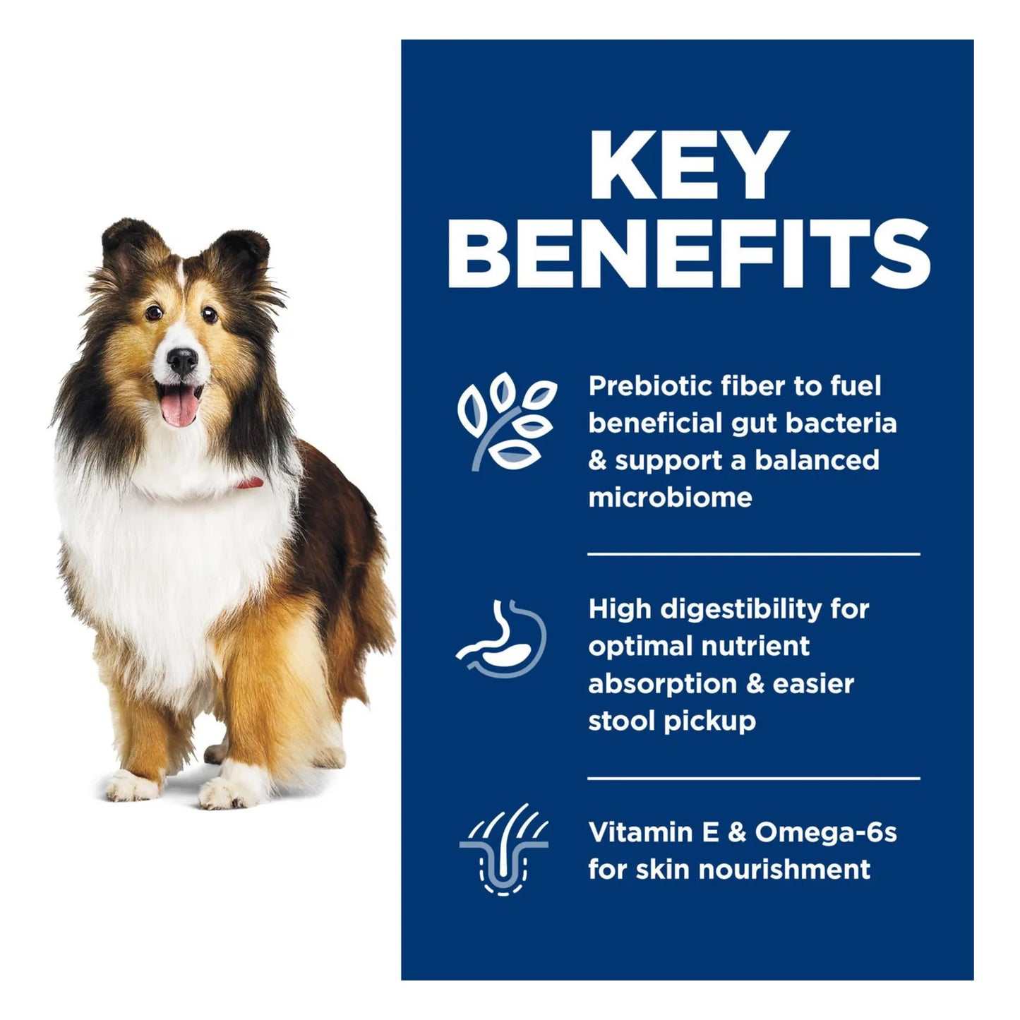 Comida Para Perros Adultos Hill's Science Diet Estomago Sensible Y Piel Seca Importado