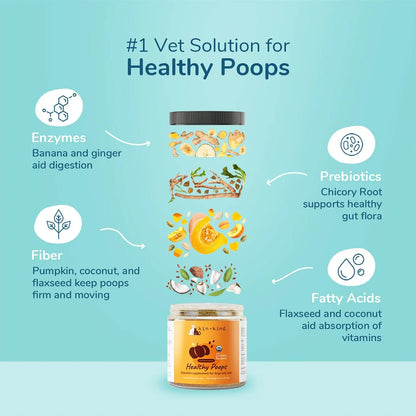 Fibra Orgánica Para Perros Y Gatos Impulso De Calabaza Heces Saludables EE.UU.