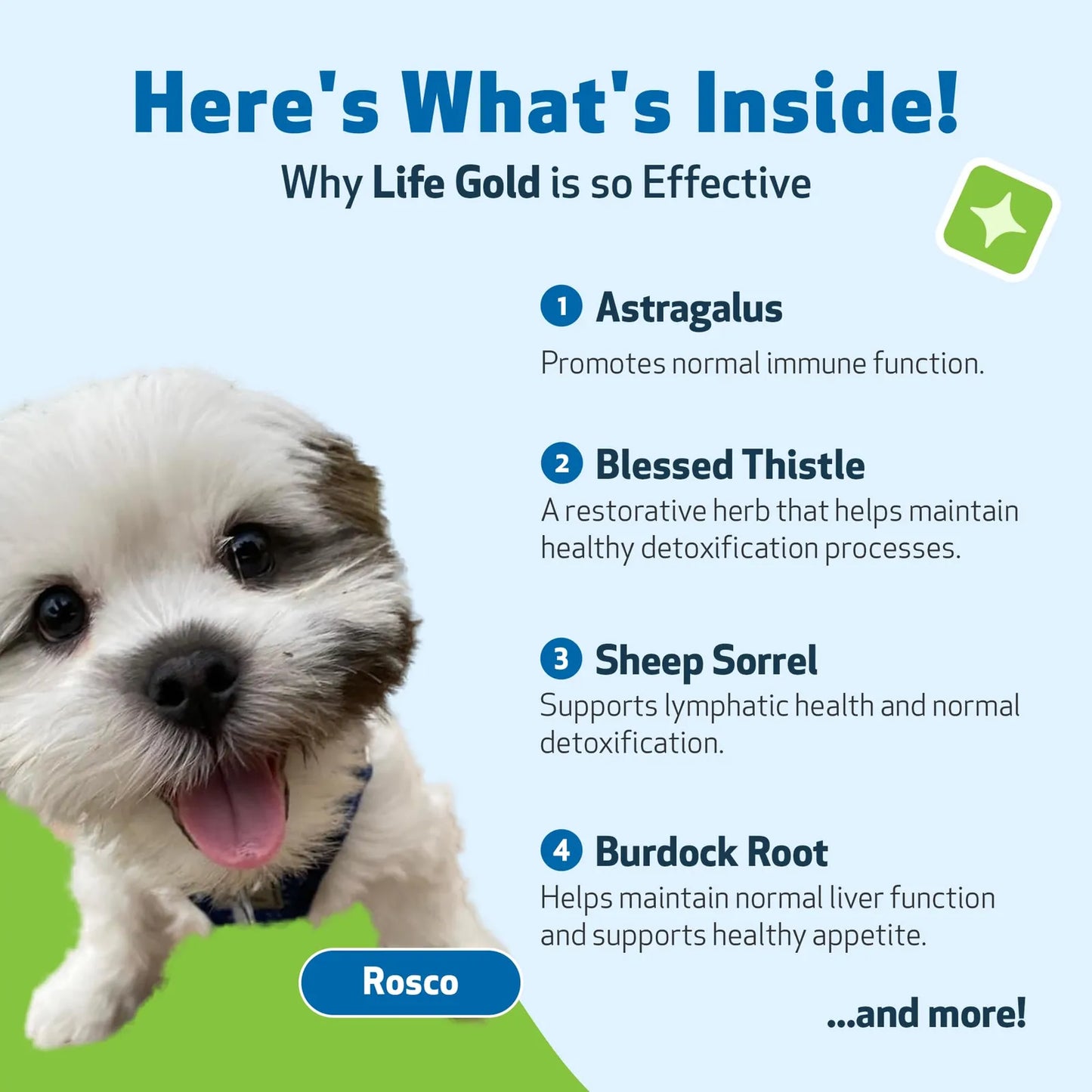 Suplemento Life Gold Para Perros Y Gatos Apoyo Natural Contra Cáncer 2 Onzas