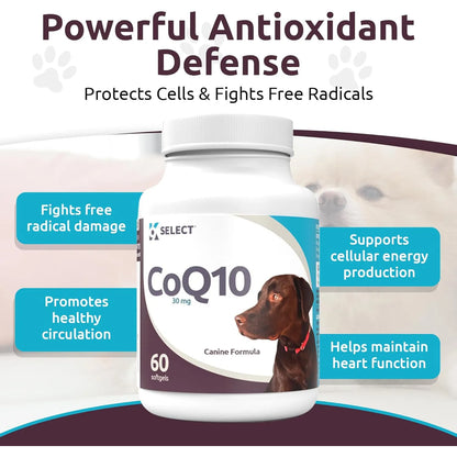 Suplemento CoQ10 Para Perros 30 Mg 60 Capsulas Salud Corazon Y Energia