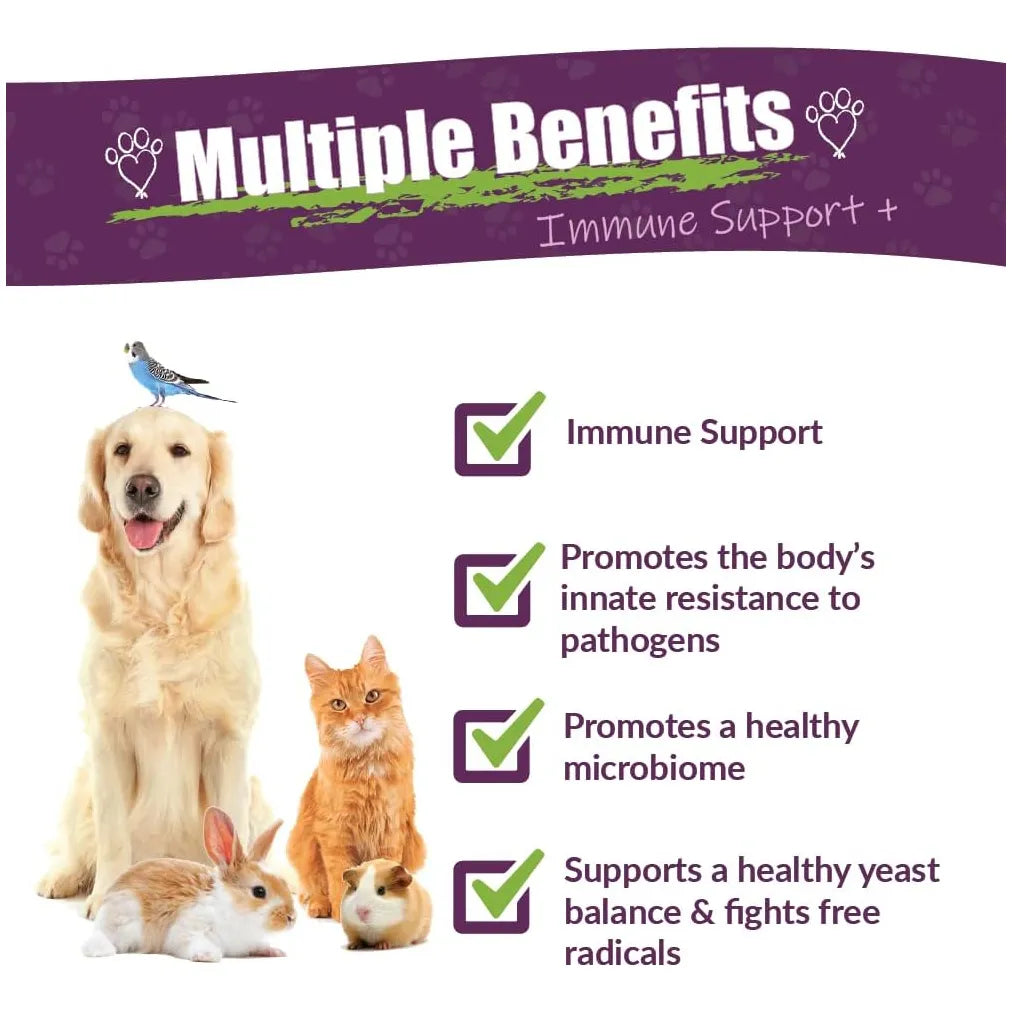 Vibactra Plus Suplemento Inmunologico Para Mascotas Amber NaturalZ
