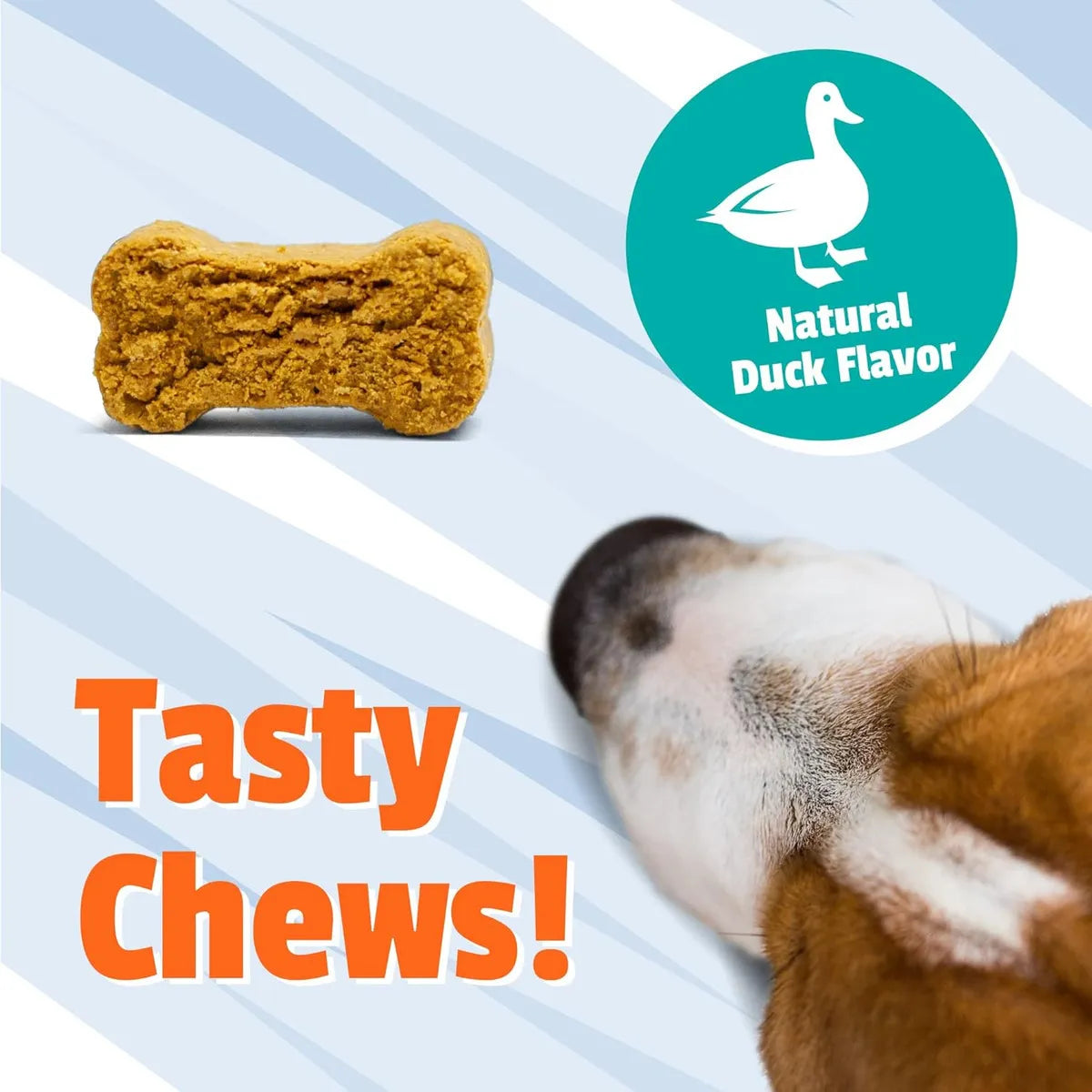 Suplemento Allergy Plus Masticable Suave Para Perros Sabor Premium Alivia Alergias