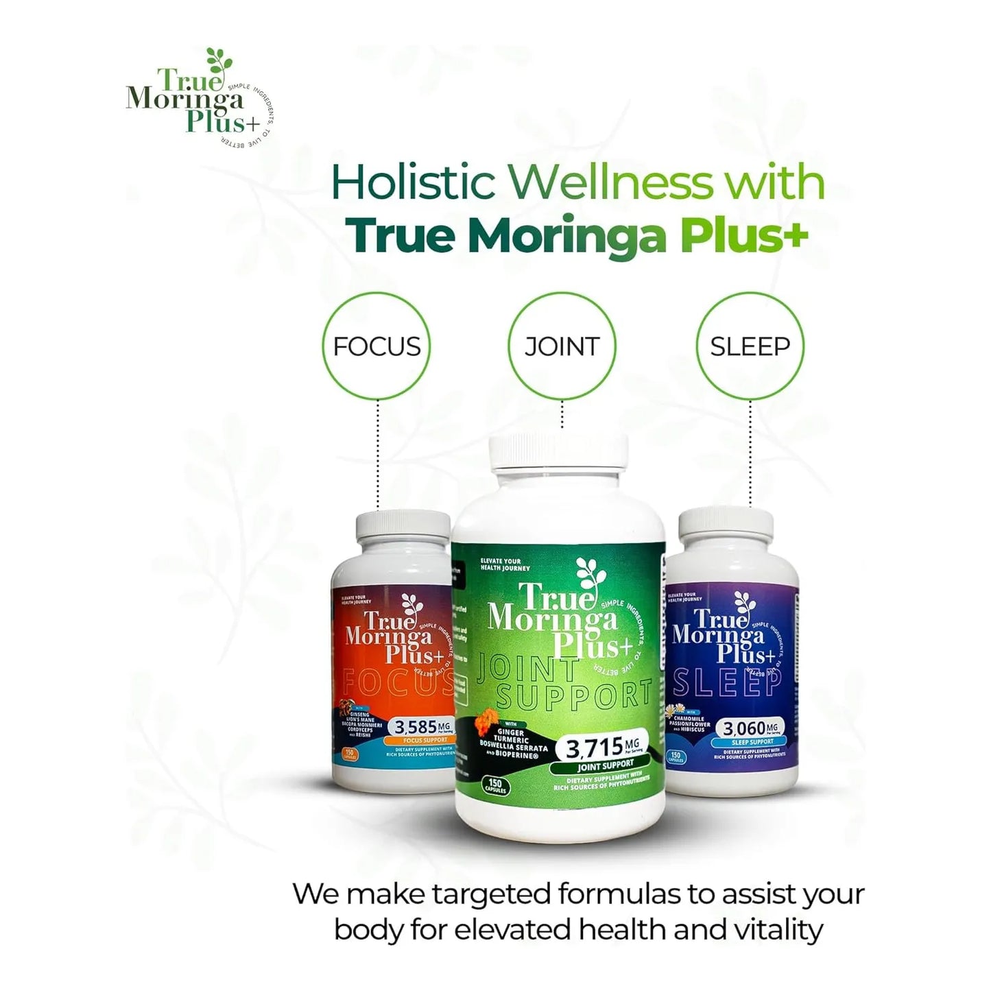 Extracto De Apoyo Articular Moringa Curcumina Jengibre Boswellia 20g