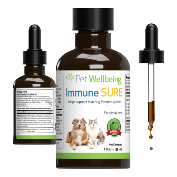 Inmune Seguro Para Perros Apoya Defensas Inmunologicas Y Vitalidad