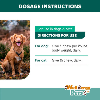 Wellnergy Probióticos Masticables Para Perros Y Gatos Apoyo Digestivo E Inmunológico