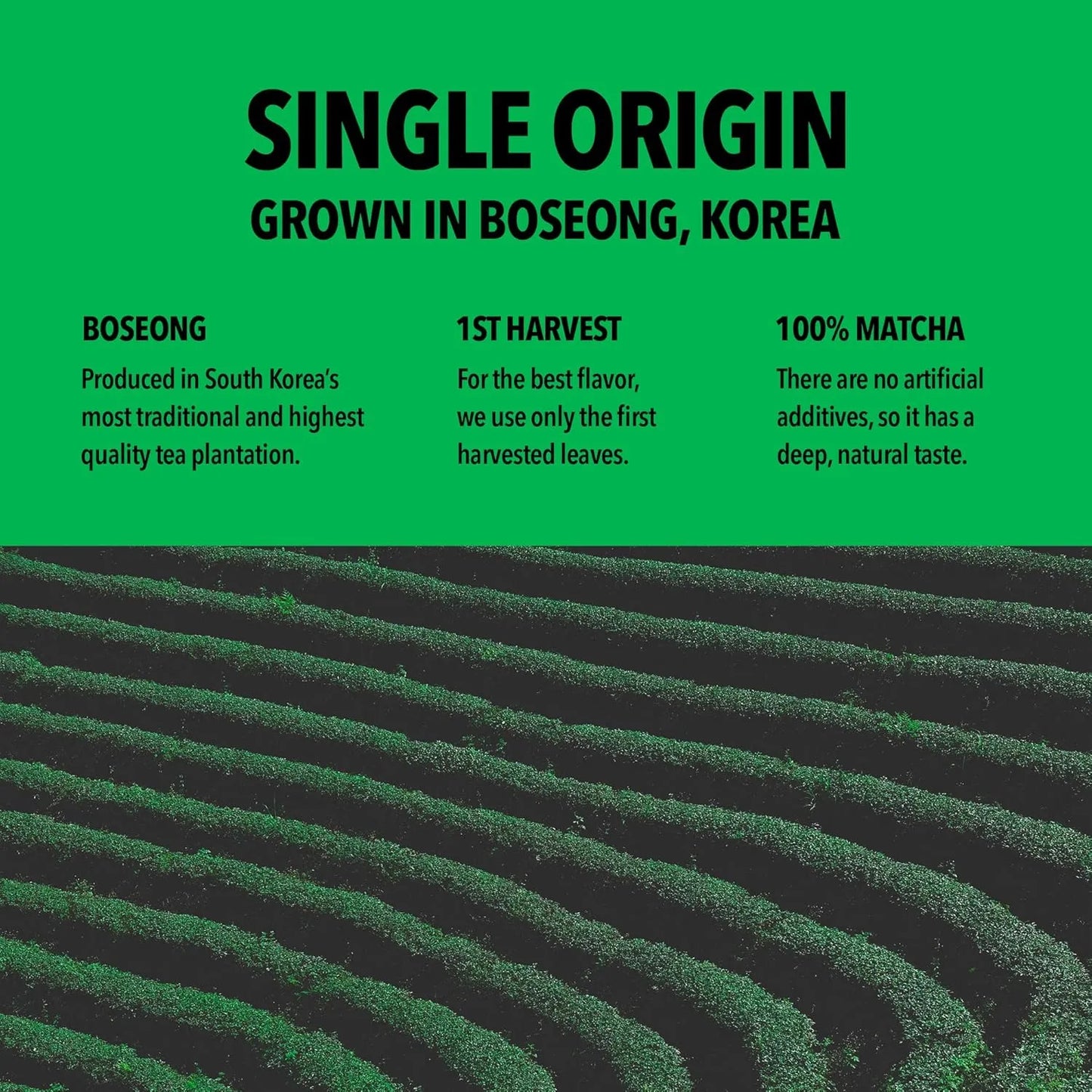 Matcha Orgánico Ceremonial Corea Del Sur 40g Energía Concentración Antioxidantes
