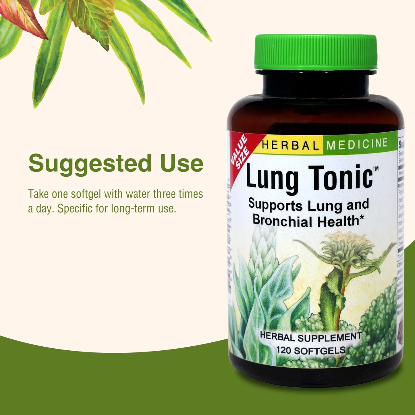 Tónico Pulmonar Con Gordolobo Marzo Y Grindelia 120 Cápsulas Suplemento Bronquial