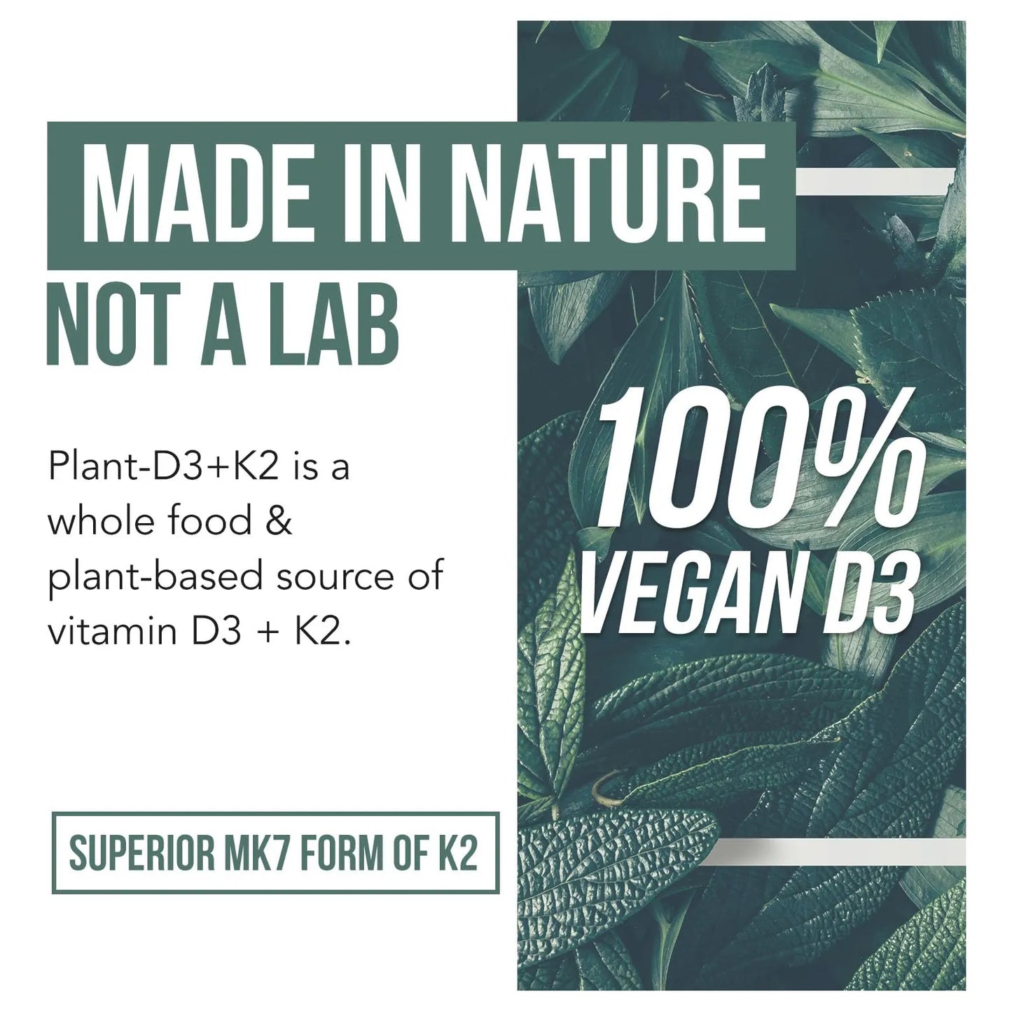Vitamina D3 K2 All Trans MK7 10000 Ui 120 Mcg Vegano Sublingual