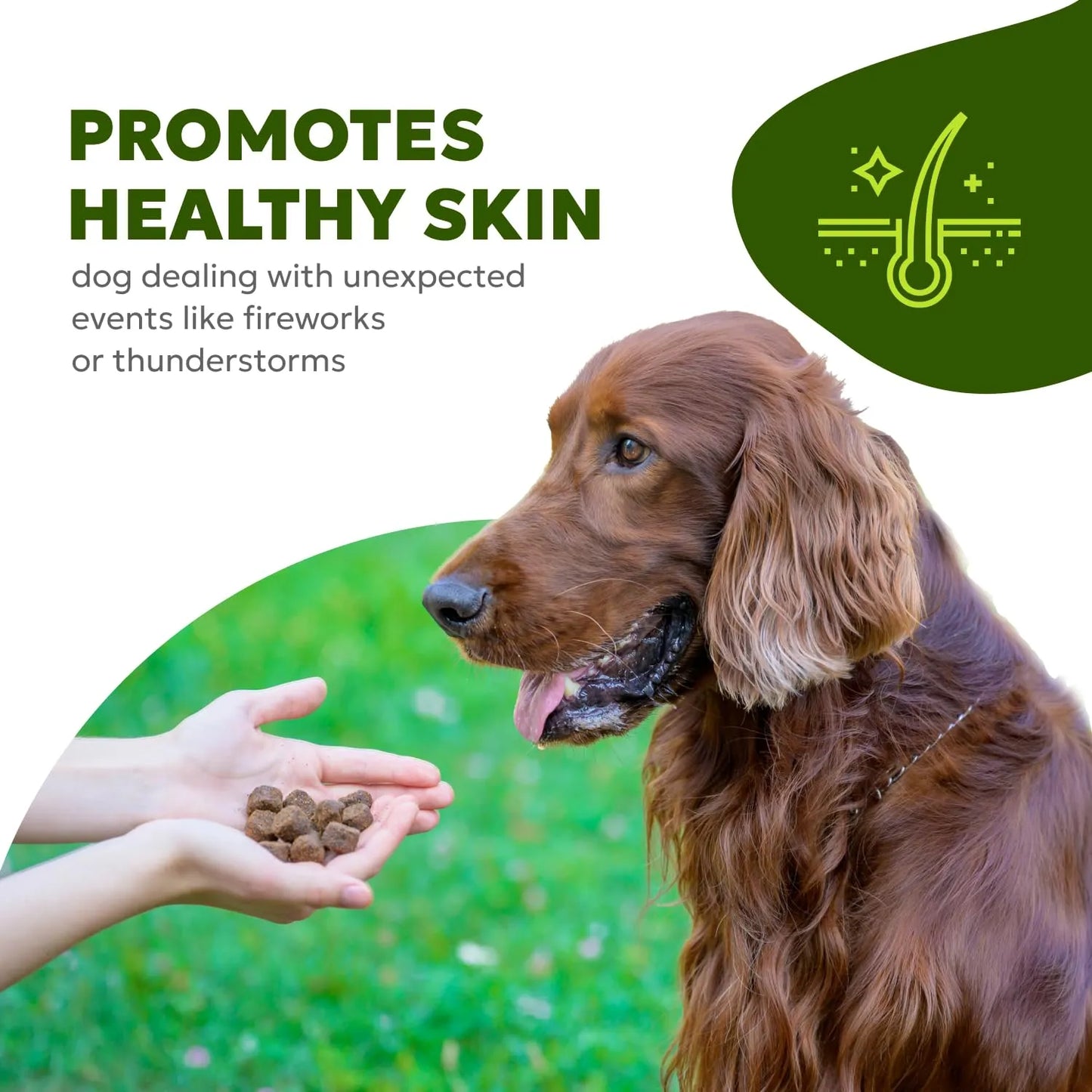 Masticables Suaves Para Perro Con Aceite De Pescado Y Biotina Piel Y Pelaje Brillante