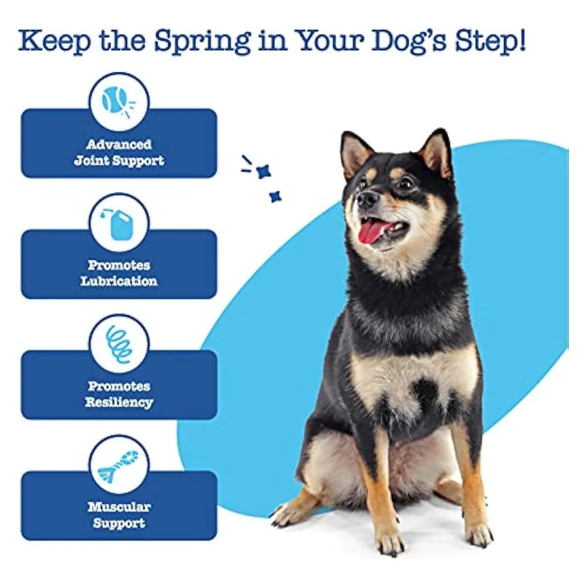 Zesty Paws Suplemento Articulaciones Perros Mayores Glucosamina Condroitina