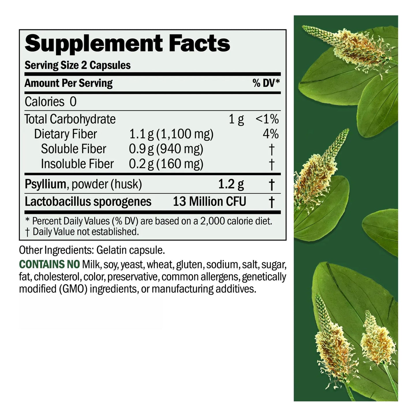 Cápsulas De Polvo De Cáscara De Psyllium 1000 Mg Para Digestión Saludable Y Regularidad