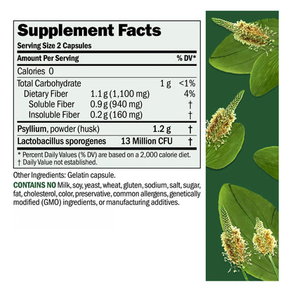 Cápsulas De Polvo De Cáscara De Psyllium 1000 Mg Para Digestión Saludable Y Regularidad
