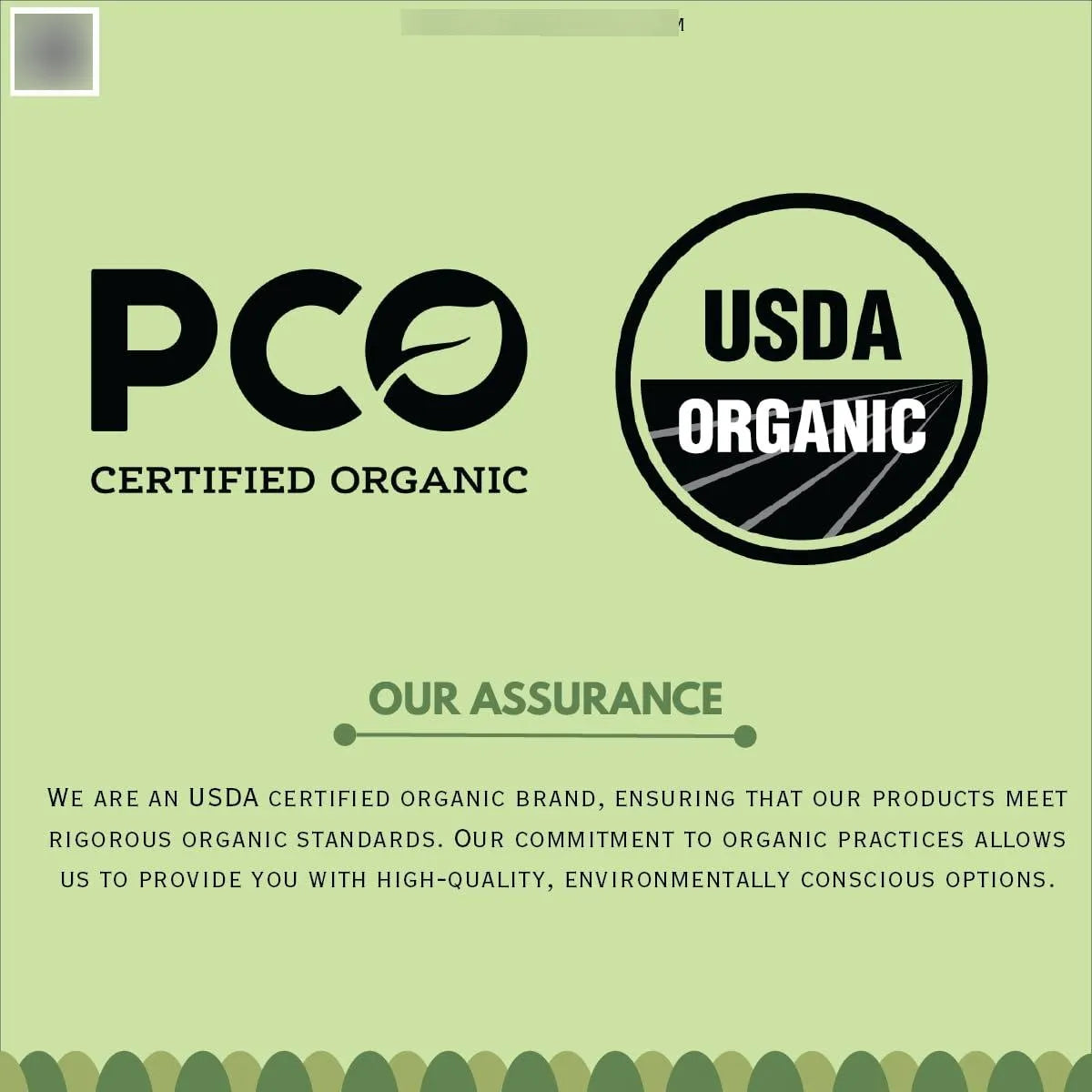 Polvo Organico De Raiz Shatavari 227g Tónico Ayurveda Para Mujer