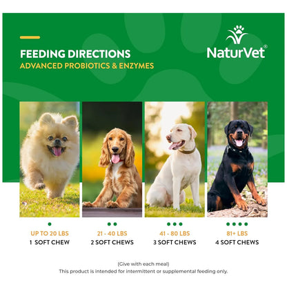 Probióticos Y Enzimas Masticables Para Perros Mejora Digestión Y Salud Intestinal