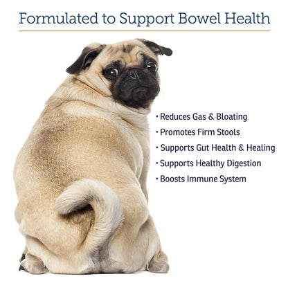 Capsulas Nutrigest Para Gatos Y Perros Probióticos Con Glucosamina Salud Digestiva