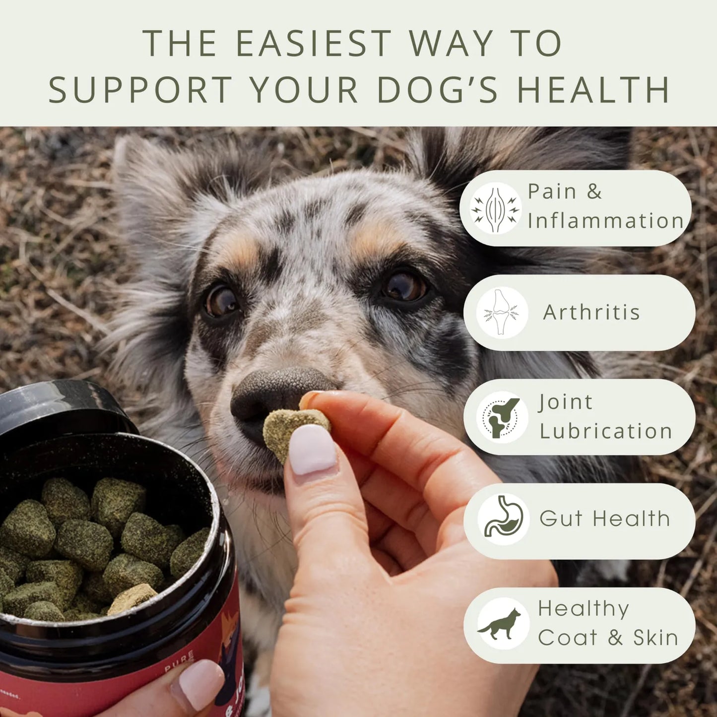 Masticables Suaves Para Perros Cadera Y Articulaciones Con Glucosamina Y Condroitina