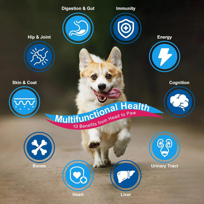 Vitaminas En Polvo Para Perros Probióticos Enzimas Digestivas Salud Articulaciones Piel
