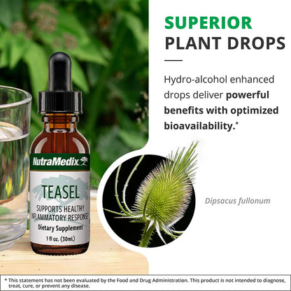 Extracto De Raiz De Teasel Gotas Antioxidantes Vegano 30 Ml