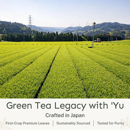 Té Orgánico Matcha En Polvo Grado Ceremonial Primera Cosecha Antioxidantes 50 Bolsas