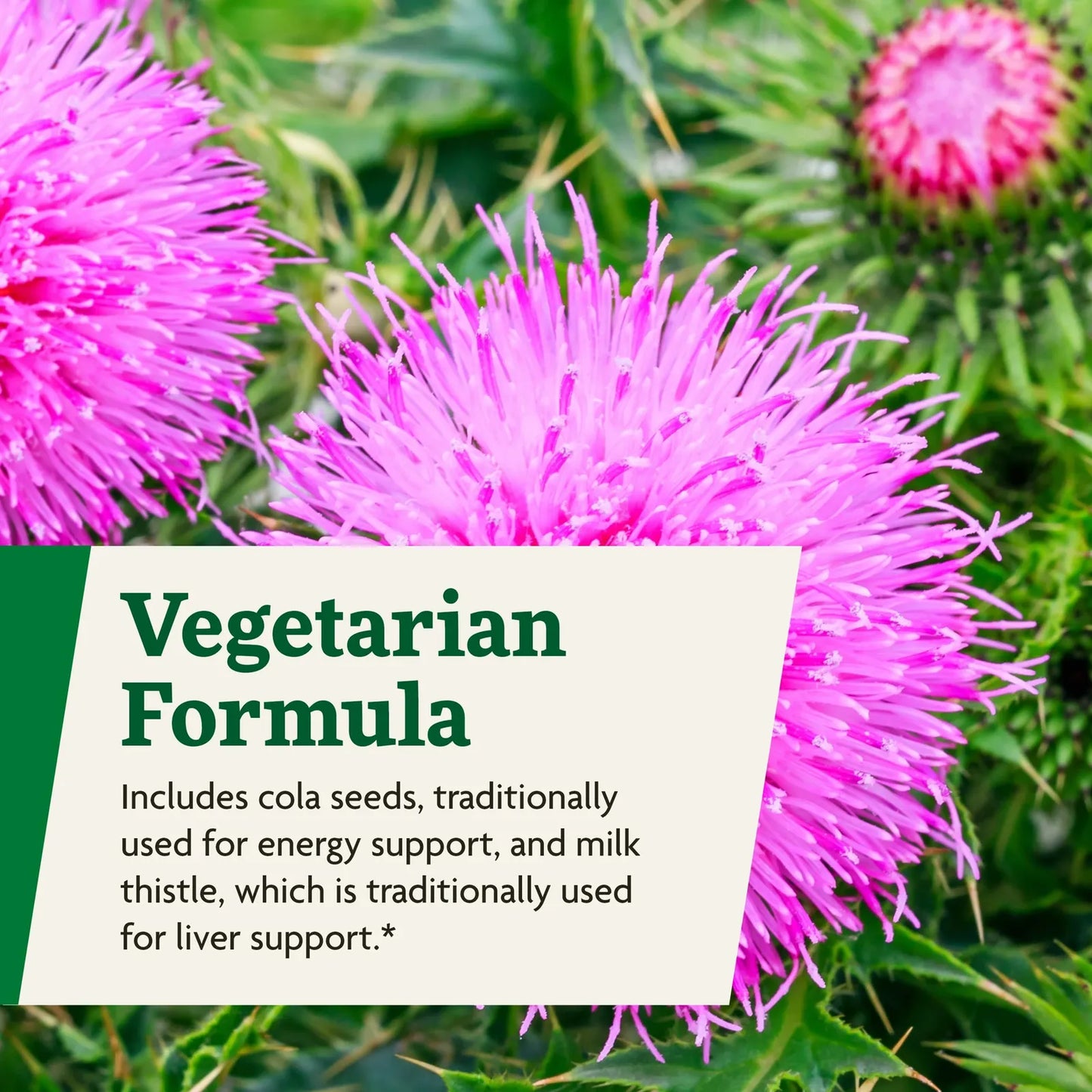 Multivitamínico Líquido Diario Con Vitamina A Y Cardo Mariano Para Energía Y Salud Hepática