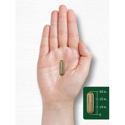 Cápsulas De Ginkgo Biloba Con Bacopa Carlyle 200 Unidades - Imagen 7
