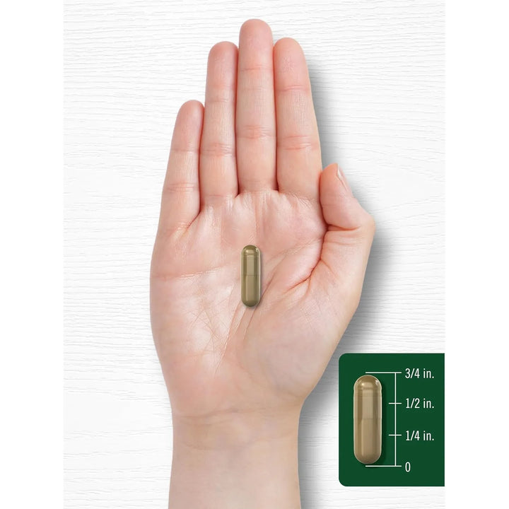 Cápsulas De Ginkgo Biloba Con Bacopa Carlyle 200 Unidades - Imagen 7