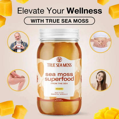 Gel De Musgo Marino Irlandés Silvestre Con Algas Secas Y Mango 16 Oz