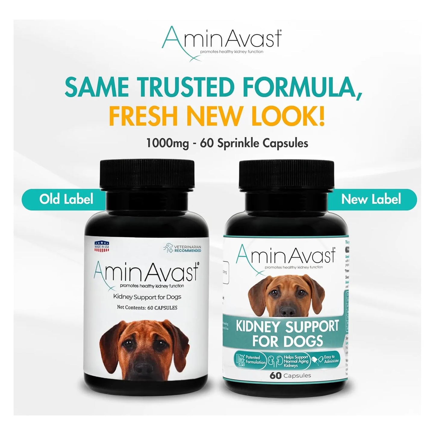Capsulas AminAvast 1000 Mg Para Riñones De Perros Y Gatos Funcion Renal