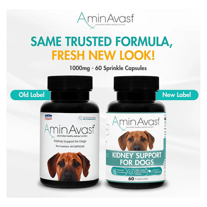 Capsulas AminAvast 1000 Mg Para Riñones De Perros Y Gatos Funcion Renal