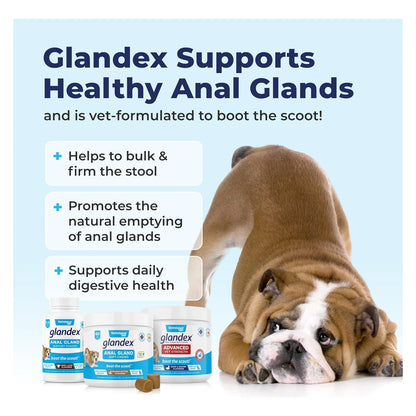 Glandex Suplemento De Fibra Para Perros Y Gatos Calabaza Enzimas Digestivas