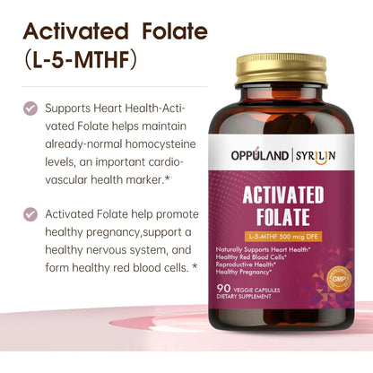 Folato L 5 MTHF 500 Mcg Dfe Suplemento Salud Corazón 90 Cápsulas