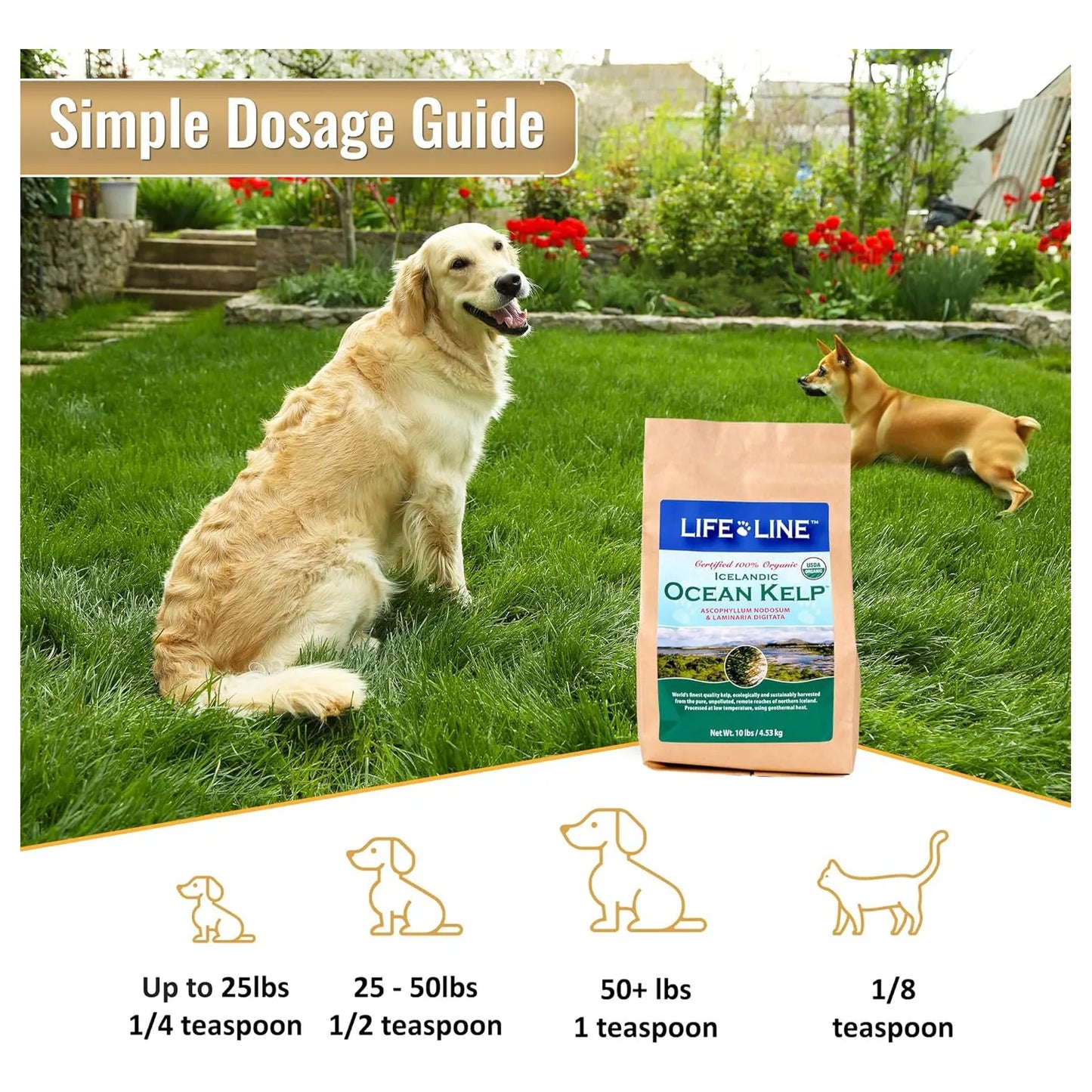 Alga Kelp Organica 4.5 Kg Para Mascotas Dientes Sanos Y Pelaje Brillante