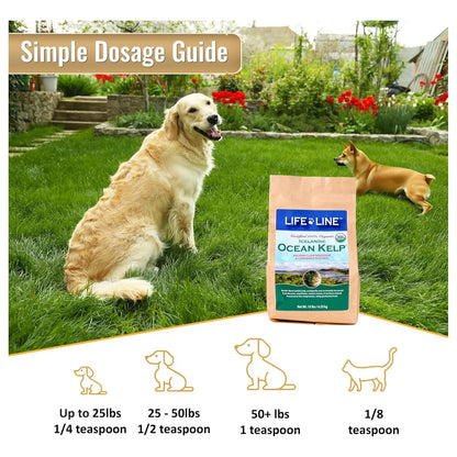 Alga Kelp Organica 4.5 Kg Para Mascotas Dientes Sanos Y Pelaje Brillante