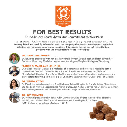 Masticables Blandos Probióticos Avanzados Para Perros Con 10 Mil Millones De UFC