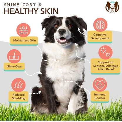 Aceite Natural Para Perros 473 Ml Salud Piel Pelaje Suave Om Natural Dog Company