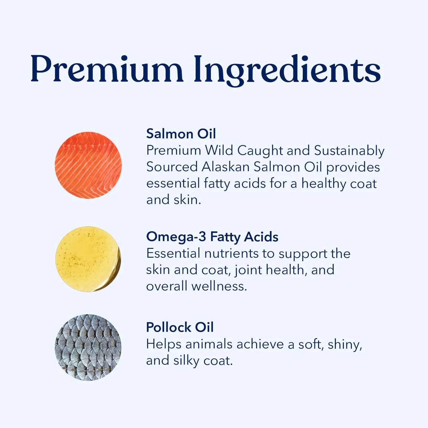 Aceite De Salmón Salvaje Omega 3 Para Perros Con Apoyo Nutricional