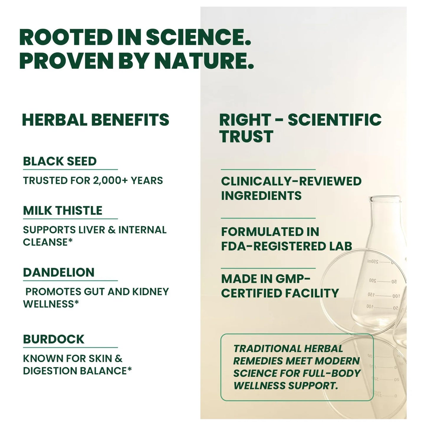 Black Seed Bitters Desintoxicación Herbal Con Cardo Mariano Y Moringa