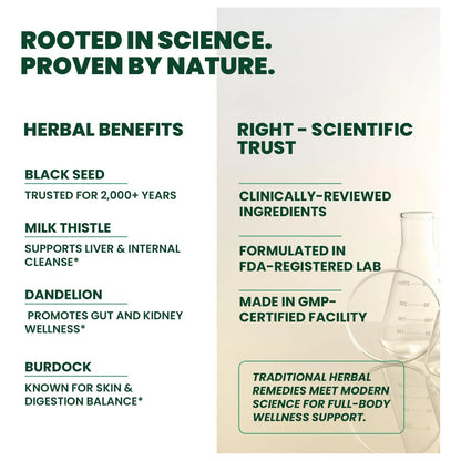 Black Seed Bitters Desintoxicación Herbal Con Cardo Mariano Y Moringa