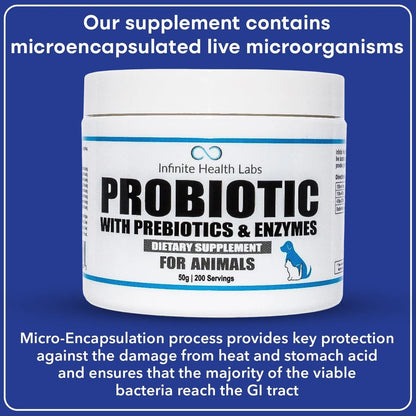 Probióticos En Polvo Para Perros Y Gatos Formulados Por Veterinarios Salud Digestiva E Inmunológica