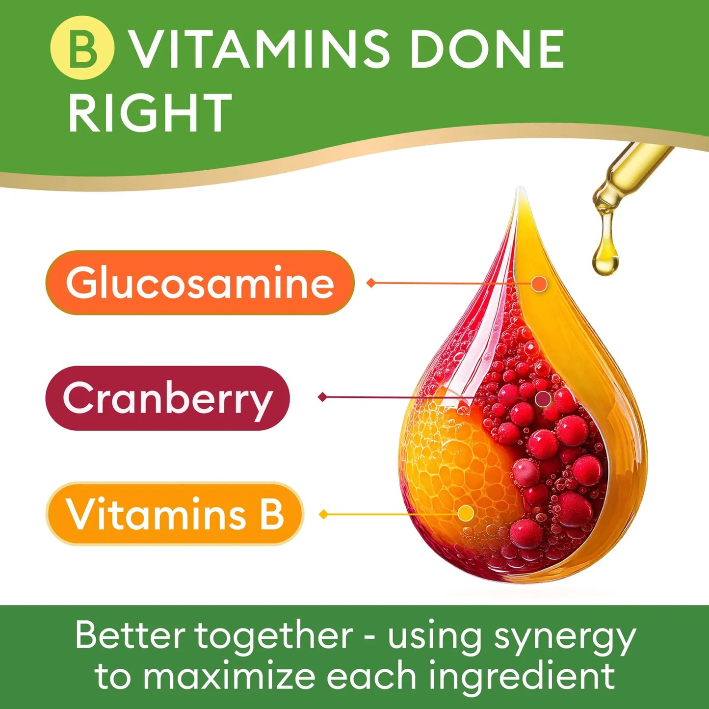 Vitaminas Líquidas 10 En 1 Para Gatos Y Perros Multivitamínico Con Glucosamina Y Vitaminas C D3 B12