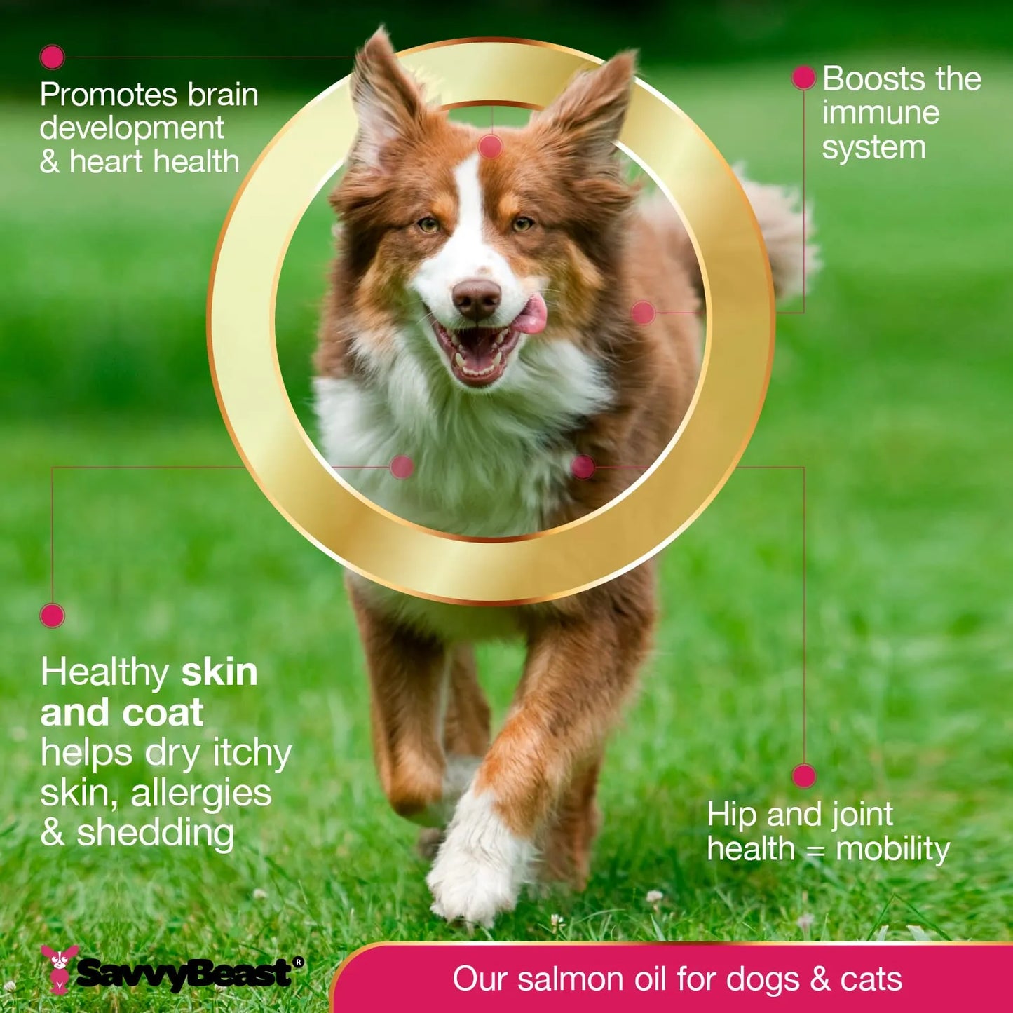 Aceite Puro De Salmón Salvaje De Alaska Para Mascotas 16oz Omega 3 Piel Y Pelaje