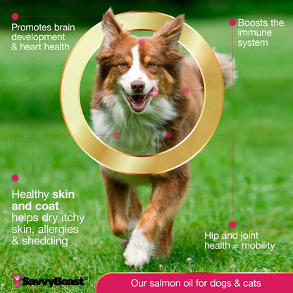 Aceite Puro De Salmón Salvaje De Alaska Para Mascotas 16oz Omega 3 Piel Y Pelaje