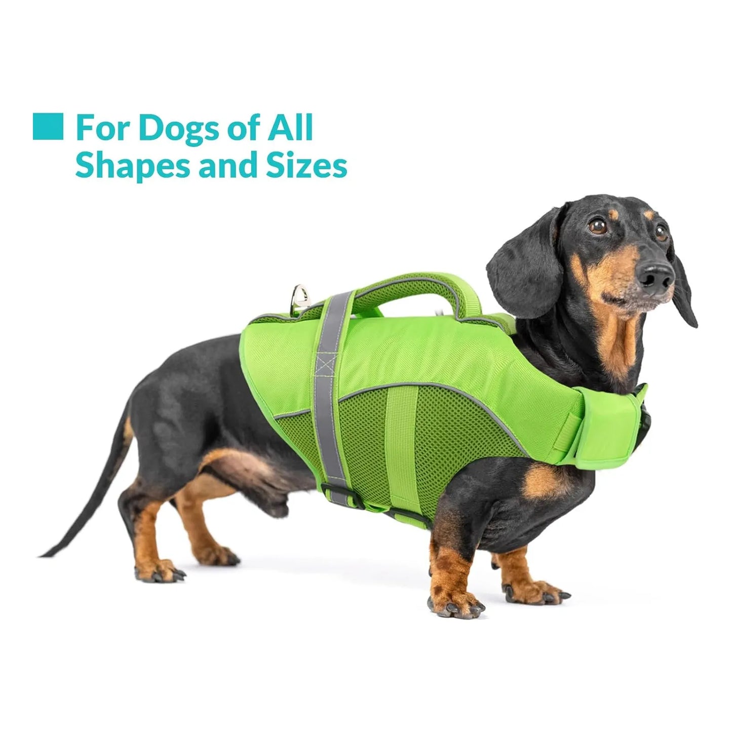 Chaleco Salvavidas Perros Ripstop Flotante Ajustable Queenmore Seguridad Y Estilo