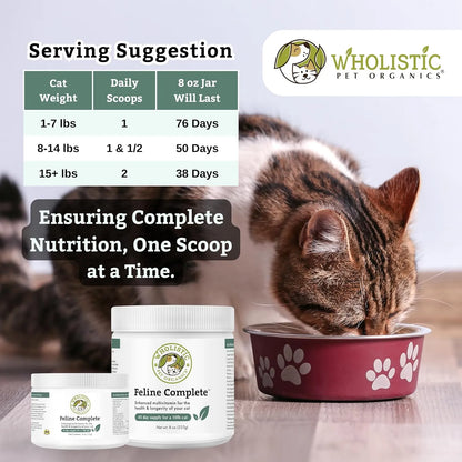 Polvo Multivitamínico Y Probiótico Natural Para Gatos 226 Gramos Wholistic Pet Organics